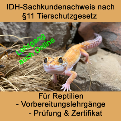 Reptilien, Teraristik, Echsen §11 Lehrgang und Prüfung